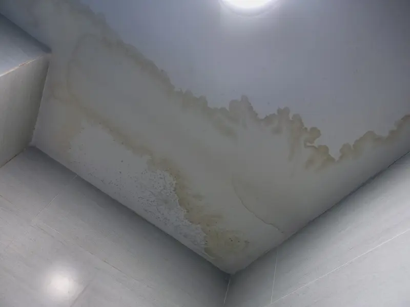 Mold prevention after water damage Orange Park FL
